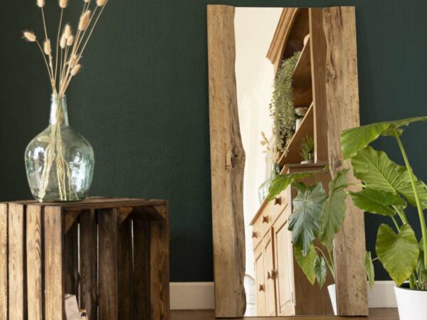 Miroir Ecorcia