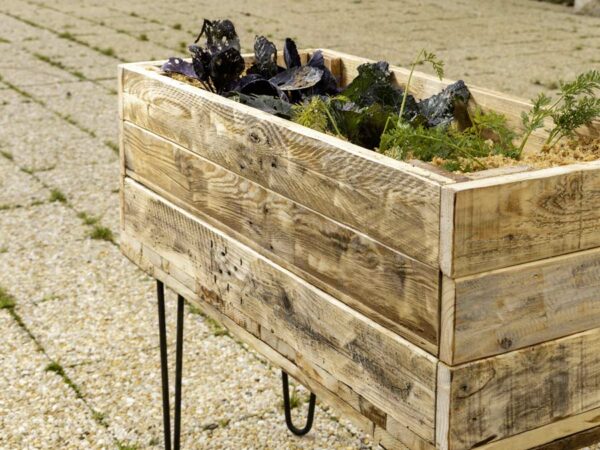 Rectangle potager Verdi – Image 2